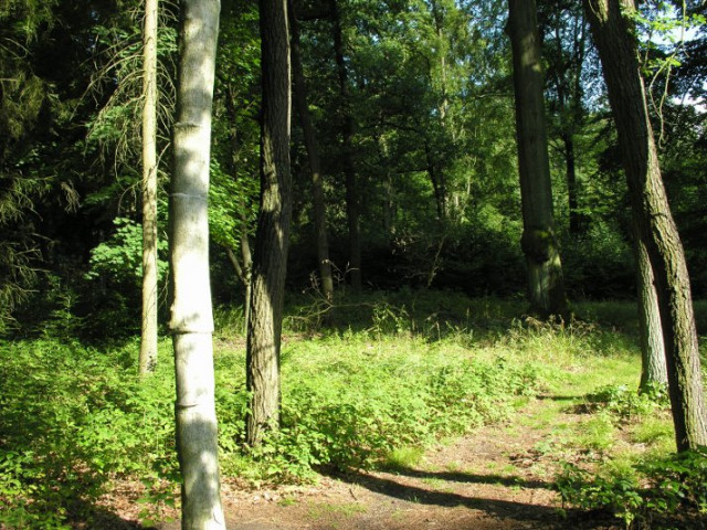 Das Kunstwerk "Porzellanbaum" nach seiner Sanierung im August 2014 • © Naturparkarchiv