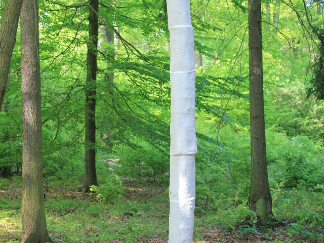 Kunstwerk "Porzellanbaum" von Barbara Vandecauter • © Bansen/Wittig