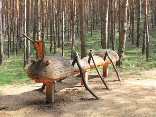 Riesen-Ameise auf dem Kindererlebnispfad Dippmannsdorf • © Heiko Bansen